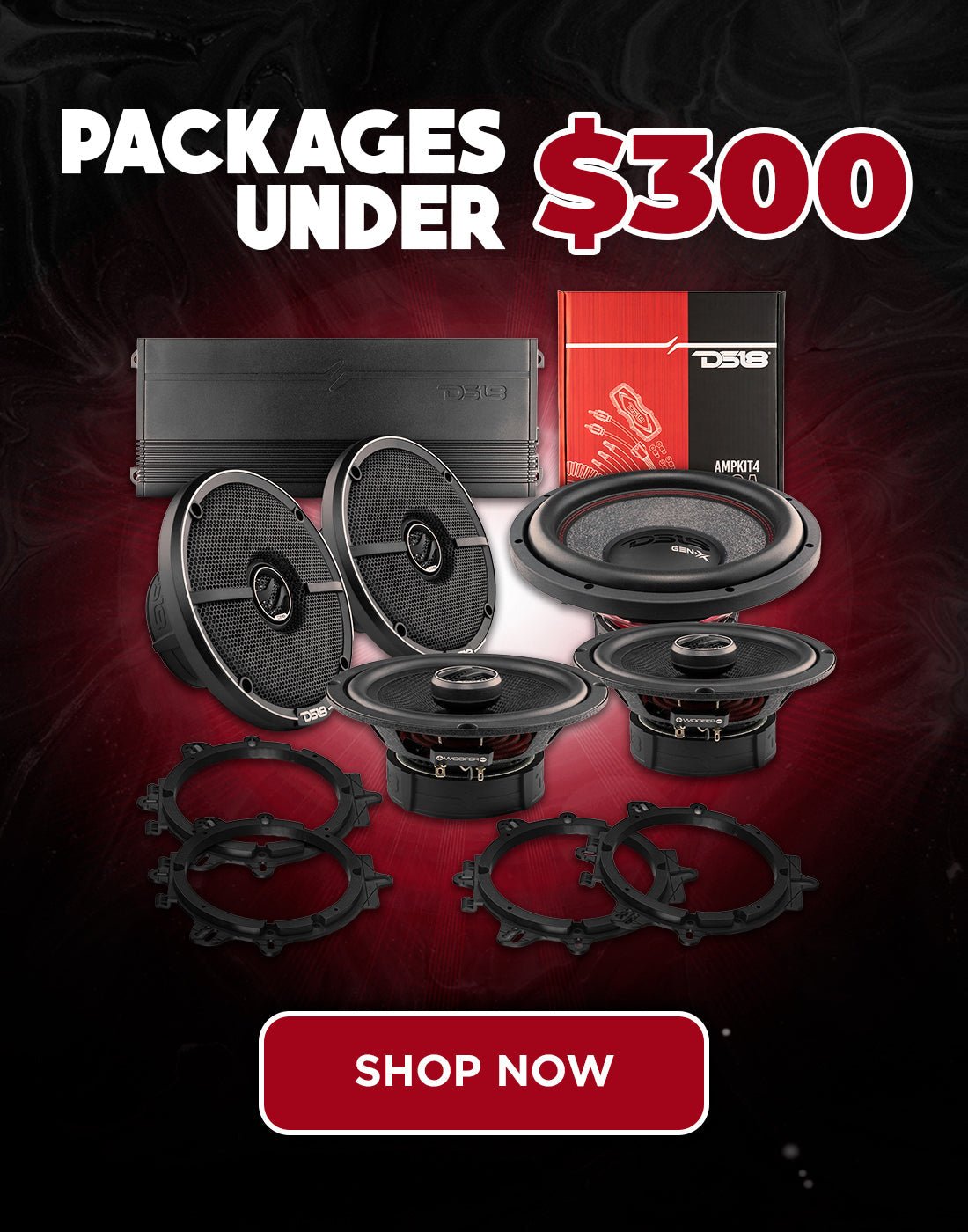 Packages under $300 - DS18