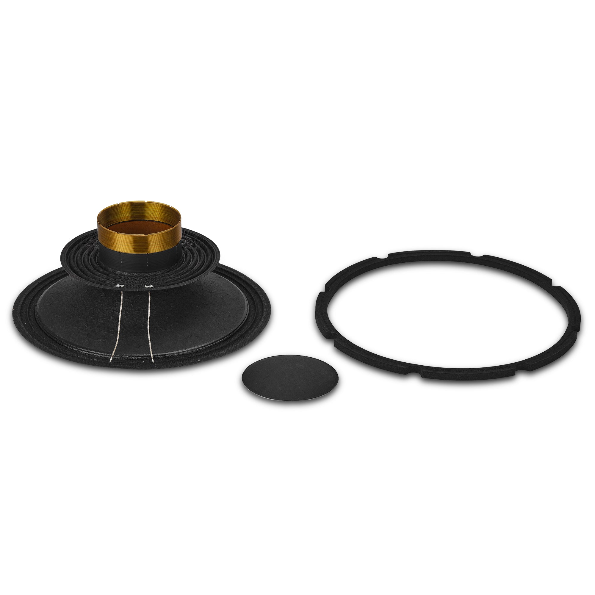 REIページ DS18 Recone Kit for 10PRO1200MB-8 Mid-Bass