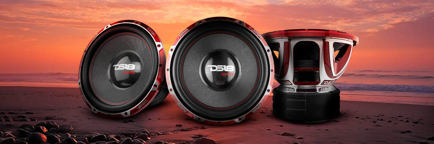 DS18 HOOLIGAN-X15 Subwoofer Series