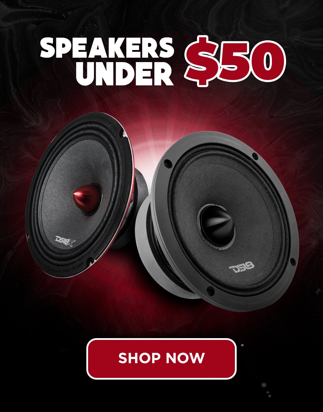 Speakers under $50 - DS18