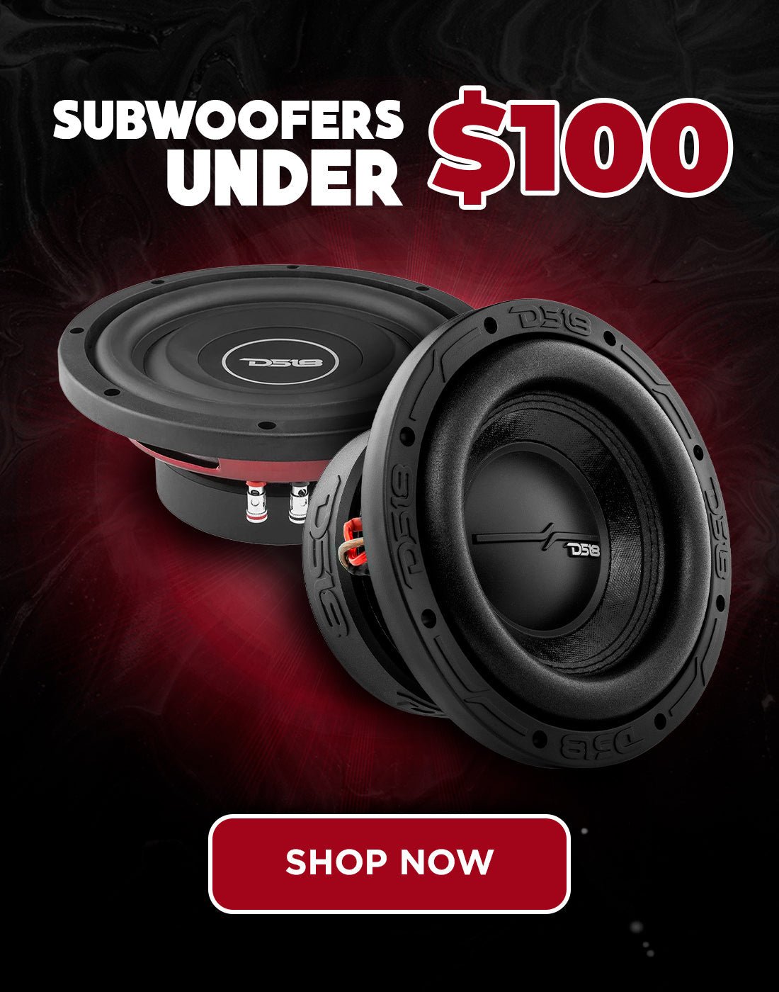 Subwoofers Under $100 - DS18