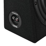 Loaded 10” Subwoofer + Passive Radiator Enclosure for Pickup Trucks