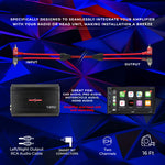 RCA 16 Feet with "L" Tips 10 Pack