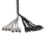 Level 2 OFC RCA Male Splitter Cable 2-to-12